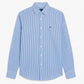 Camisa de Algodón Premium Raya Delgada Azul
